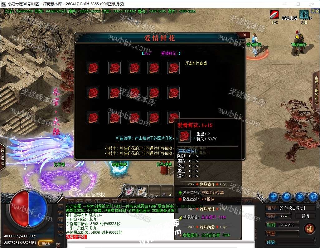 29.jpg