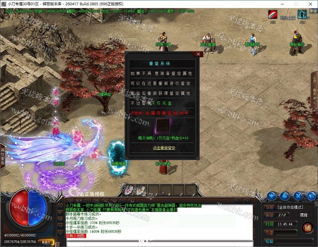31.jpg